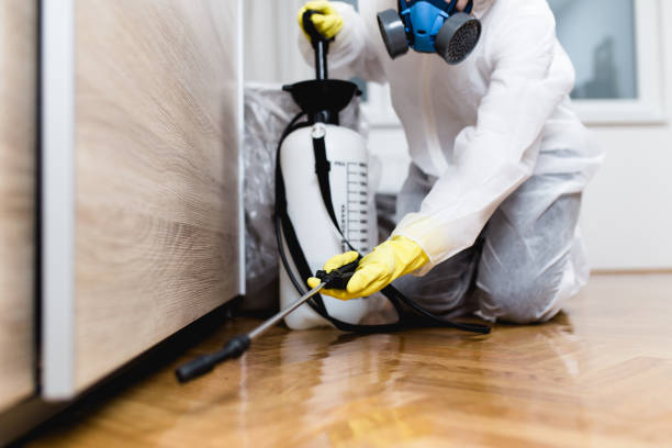 Best Residential Pest Control  in Antelope, CA