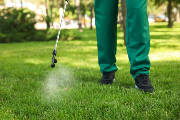 Professional Pest Control in Antelope, CA