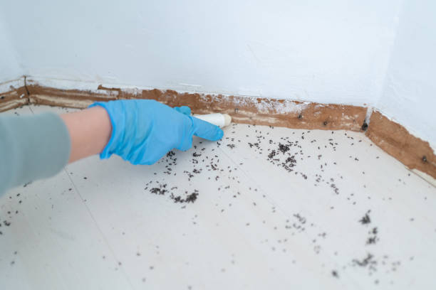 Pest Control Cost in Antelope, CA