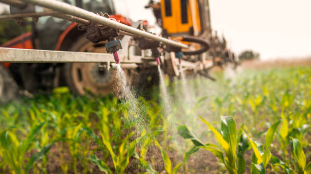 Best Commercial Pest Control Services  in Antelope, CA